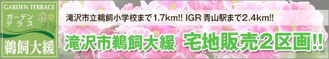 鵜飼大緩